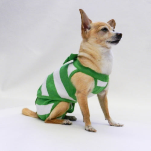 Green and White Striped Tank and Bloomer Set